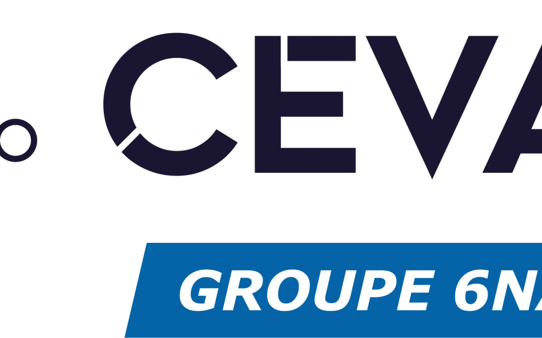 CEVAA – Groupe 6NAPSE